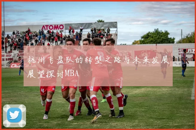 杭州飞盘队的转型之路与未来发展展望探讨MBA
